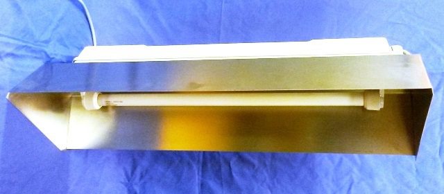 NEON LAMP, Lot of 2 CUSTOM / OSRAM (9825) 