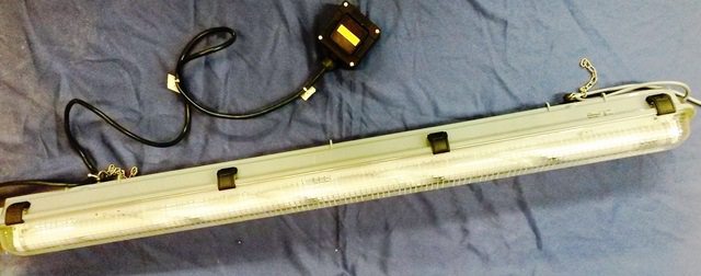 NEON LAMP FRAM / 3203 9799 located at Provendum exhibition in Laussanne (the photo contains one of the item in stock) NEON LAMP FRAM / 3203 (9799)