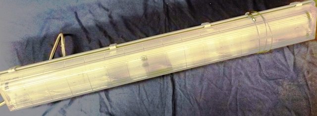 NEON LAMP ZUMTOBEL / IFP PM 2X36W C 7832 located at Provendum exhibition in Laussanne (the photo contains one of the item in stock) NEON LAMP ZUMTOBEL / IFP PM 2X36W C (7832)