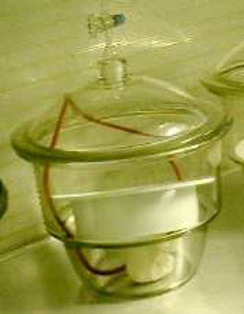 VACUUM CHAMBER EXSICCATOR GLASWERK WERTHEIM 31007 located at Provendum exhibition in Laussanne (the photo contains one of the item in stock) VACUUM CHAMBER EXSICCATOR GLASWERK WERTHEIM (31007)