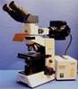 BINOCULAR FLUORESCENCE MICROSCOPE OLYMPUS / CX40 RF200 IMMUNO FLUO (31504)
