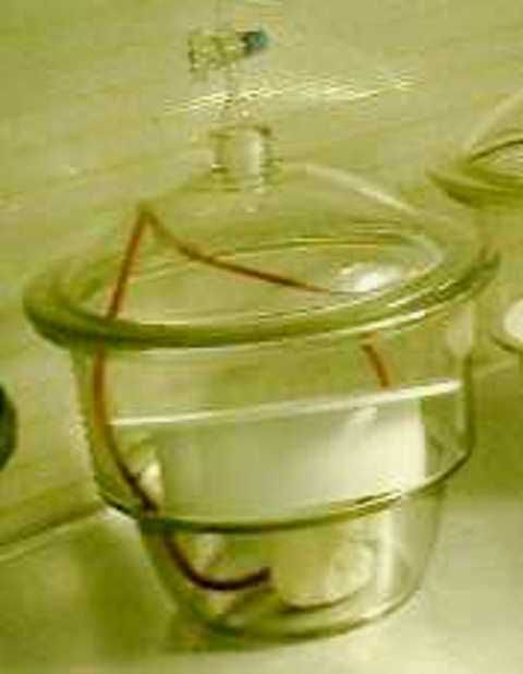 CLOCHE VIDE ESSICATEUR GLASWERK WERTHEIM 31007 en exposition chez Provendum à Lausanne (la photo contient un des exemplaires en stock) CLOCHE VIDE ESSICATEUR GLASWERK WERTHEIM (31007)