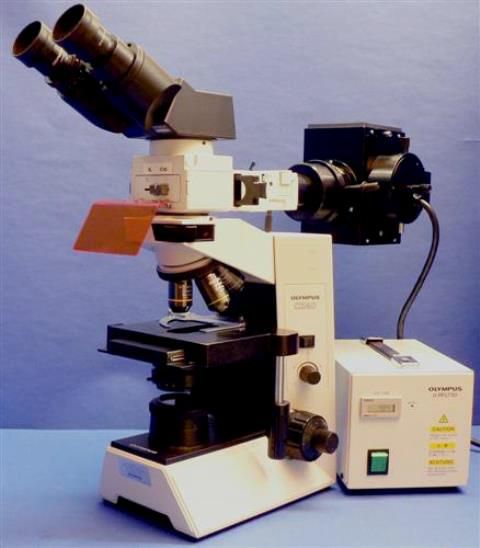 MICROSCOPE BINOCULAIRE FLUORESCENCE OLYMPUS / CX40 RF200 IMMUNO FLUO (31504) 