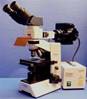 MICROSCOPE BINOCULAIRE FLUORESCENCE OLYMPUS / CX40 RF200 IMMUNO FLUO (31504)